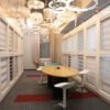 Zebra Shades - Thumbnail Image 2