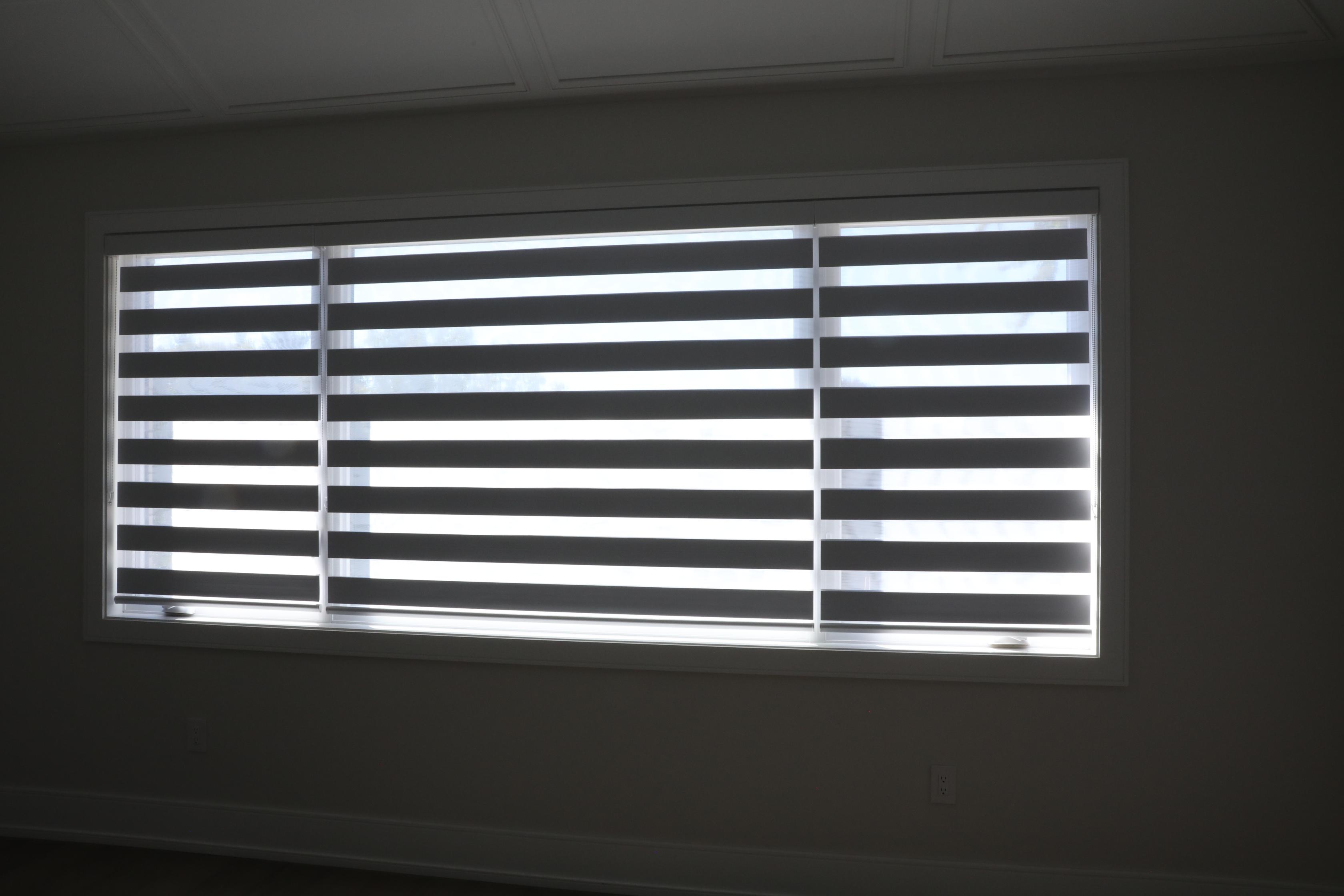 Zebra Shades - Image 6